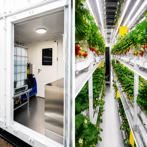 Skyplant SK-L000256 Grande Ferme Hydroponique Intelligente pour Fraises avec Contrôle Climatique Automatisé Agriculture Verticale Intérieure - Product Image 4