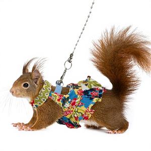 Conjunto de Arnés y Correa Ajustable con Diseño Floral para Mascotas Pequeñas, Correa de Tracción para Hurones, Chinchillas Enanas, Cobayas y Ratas Ornamentales - Product Image 1