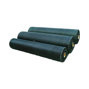 פיברגלס geogrids זכוכית תומך קיר לחדרי קיר כביש בנייה חיזוק עשוי עם פלסטיק hdpe פוליאסטר חומר pp - Product Image 2