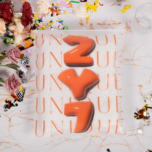 Sac à fermeture éclair givré biodégradable avec logo de taille personnalisée entièrement imprimé Sac à fermeture éclair d'emballage en plastique transparent pour vêtement - Product Image 2