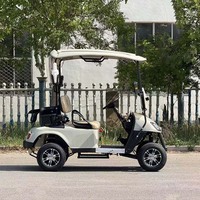 Voiturette de golf électrique 2 places, alimentée par batterie lithium, scooter de golf électrique, voiturettes électriques pour adultes