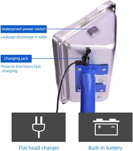 Báscula Digital Industrial Pequeña de 150 kg, Precio de Báscula de Plataforma - Product Image 2