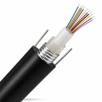 Câble de communication à fibres optiques GYXTW extérieur à tube lâche blindé, gaine PE, 2, 4, 6, 8, 12 fibres