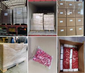 Wholesale Antitheft Security Magnetic Stop Lock Peg <b>Hook</b> Stop Lock 6mm <b>Plastic</b> Red Security Lock - Product Image 6