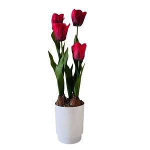 <span class=keywords><strong>Tulipe</strong></span> Artificielle Populaire en Pot, Bonsaï Haute Simulation pour Décoration Intérieure, Ornement Végétal <span class=keywords><strong>de</strong></span> Table - Product Image 5