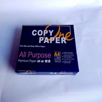 Papier Copieur A4 Blanc 100% Pulpe OEM 70g/m² - 500 Feuilles par Ramette, 5 Ramettes par Boîte, Qualité Grade A