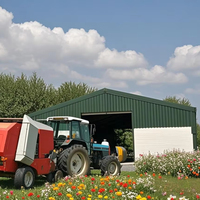 Abri et bâtiments en acier préfabriqués pour les équipements agricoles, le bétail, le stockage en garage et les ateliers industriels