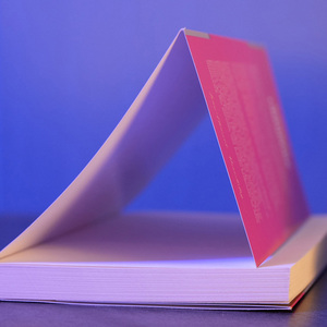Impresión de Libros de Encuadernación Perfecta, Impresión de Libros de Ficción Histórica con Tapa Blanda en Papel Offset - Product Image 1