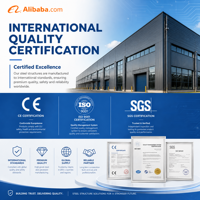Gallinero Modular Ecológico de Estructura de Acero, Edificio Prefabricado Inteligente para Granja Avícola, Nave Sostenible para Pollos de Engorde y Ponedoras