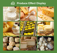 Équipement pour usine de transformation du fromage : Presse à mozzarella, machine à étirer et mouler, ligne de production, cuve à fromage ronde