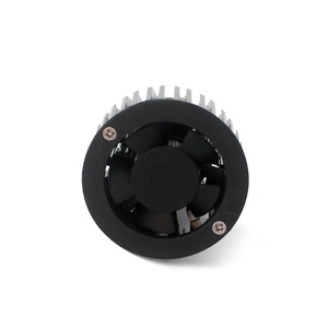 Chaude Vente Led Phares R1T D1 D2 D3 D4 Lampes Led A Mené Des Lumières De Voiture A Mené Des Ampoules De Voiture Pièces D'auto - Product Image 6