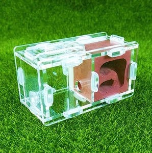 Bionic Acrylique Petit Nid de ferme de fourmis Produit pour animaux de compagnie pour les amateurs de fourmis - Product Image 5