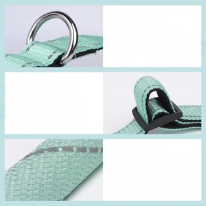 छोटे मध्यम कुत्तों के लिए ठोस एंटी-एस्केप नायलॉन कुत्ते कॉलर पट्टा सेट क्रॉस-बॉर्डर डिज़ाइन - Product Image 6