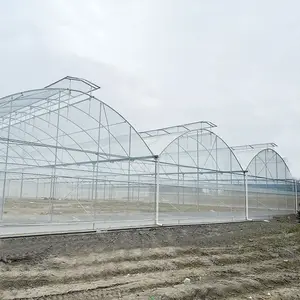 GT serra all'aperto struttura in metallo agricoltura agricoltura commerciale grande serra in plastica multi-campata per piante