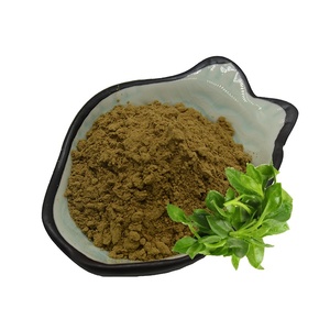 Andrographhis Seeds 10% Andrographholide 98% Andrographhis <span class=keywords><strong>Paniculata</strong></span> PE Trong Chiết Xuất Kariyt - Product Image 2