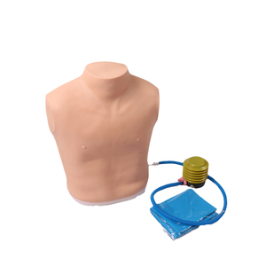Mannequin thoracique pour la formation en soins infirmiers sur la décompression et la tension du pneumothorax, en PVC, pour les écoles et les hôpitaux - Product Image 2