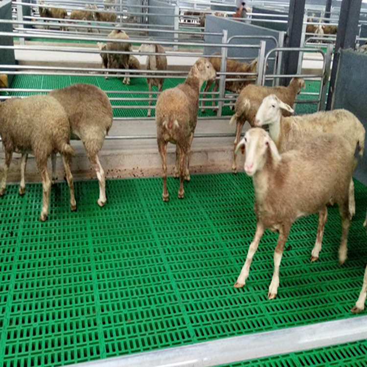 Пластиковые решетчатые напольные покрытия для Овечьей Фермы, пластиковые козы, сланец, напольные овечьи козы, напольные овцы