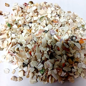 Bán hàng nóng khảm thủ công mỹ nghệ nguyên liệu tự nhiên nghiền vỏ Vỡ Vỏ sò để trang trí - Product Image 5