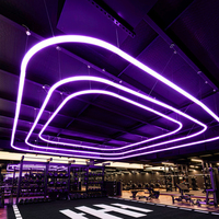 Lumière linéaire LED à commande tactile étanche IP65 CE ROSH, en aluminium, éclairage linéaire moderne pour extérieur, boutique, salle de sport