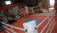 Mini ring de boxe thaïlandaise Muay Thai MMA UFC BJJ professionnel de haute qualité en toile personnalisée de 5*5m avec cordes élastiques