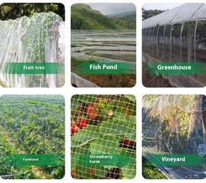 Vườn cây ăn quả chu vi chim răn đe lưới với khung thép gia cố vật liệu HDPE duy trì luồng không khí ngăn chặn thiệt hại - Product Image 4