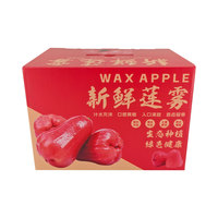 Boîte en plastique ondulé PP durable Yuexin pour le stockage et le transport des fruits et légumes, personnalisable, résistante, empilable, avec impression personnalisée