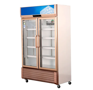 Congélateur vertical à porte simple commercial, porte en verre, réfrigérateur à crème glacée pour épicerie - Product Image 3