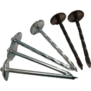 Clous de toiture étanches en acier inoxydable 18-8 avec anse pour maisons conteneurs et bâtiments préfabriqués - Product Image 1