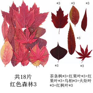 Heiß begehrtes Harzschmuck-Set mit Trockenblumen und Formen - Product Image 3