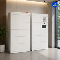 Casier à colis extérieur personnalisé avec écran tactile, casier de livraison et de récupération de colis électronique