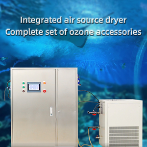 Generador de Ozono Negativo de Alta Eficiencia Qlozone con Núcleo PLC, 750L/H, Tratamiento de Agua, Secador de Aire Integrado - Product Image 5