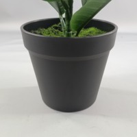 Plante Artificielle en Pot, Petite Plante de Bananier, Arbre du Voyageur, Écologique, Réaliste, 40cm, Pour Intérieur, Hôtel, Thanksgiving, Vert