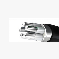 Kabel Inti Aluminium Berlapis PVC Berisolasi untuk Industri & Konstruksi Kelautan Tegangan Rendah