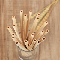 Réutilisable Écologique 100% Naturel Biodégradable Personnalisé En Bois Bambou Paille