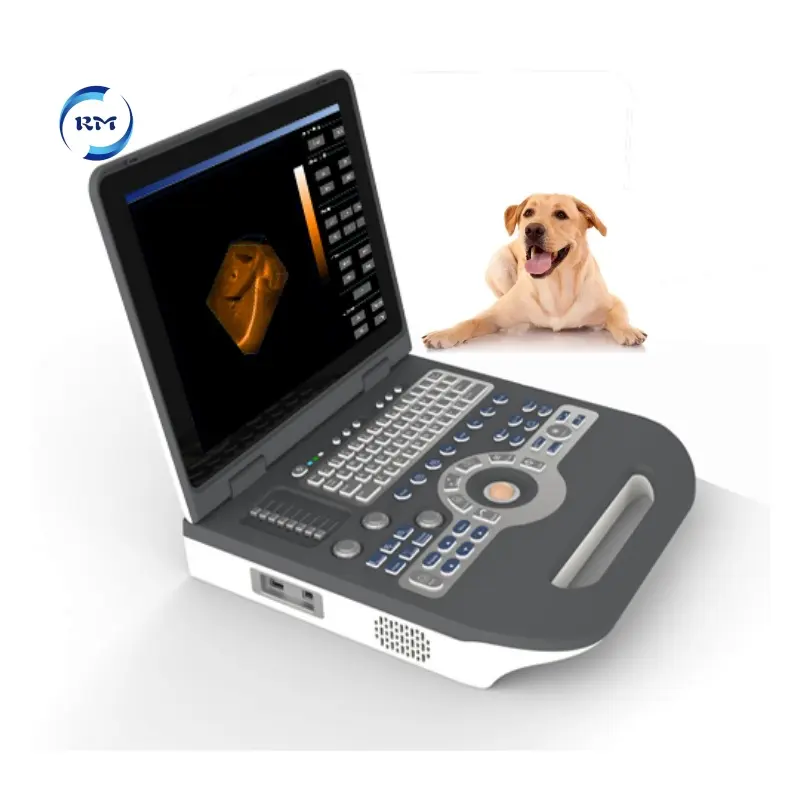 Dieren Gebruiken Echografie Scanner Kleur Doppler 3d Draagbare Notebook Echografie Machine