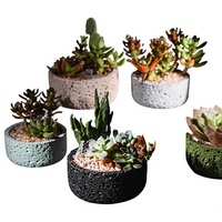 Pots à succulentes en ciment texturé, best-sellers transfrontaliers pour la région nordique ; Jardinières créatives respirantes pour bureau