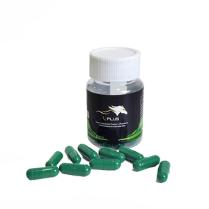 Capsule masculine de qualité en gros Supplément de soins de santé à base de plantes Capsules d'énergie et d'amélioration pour hommes 10 pilules par bouteille - Product Image 4