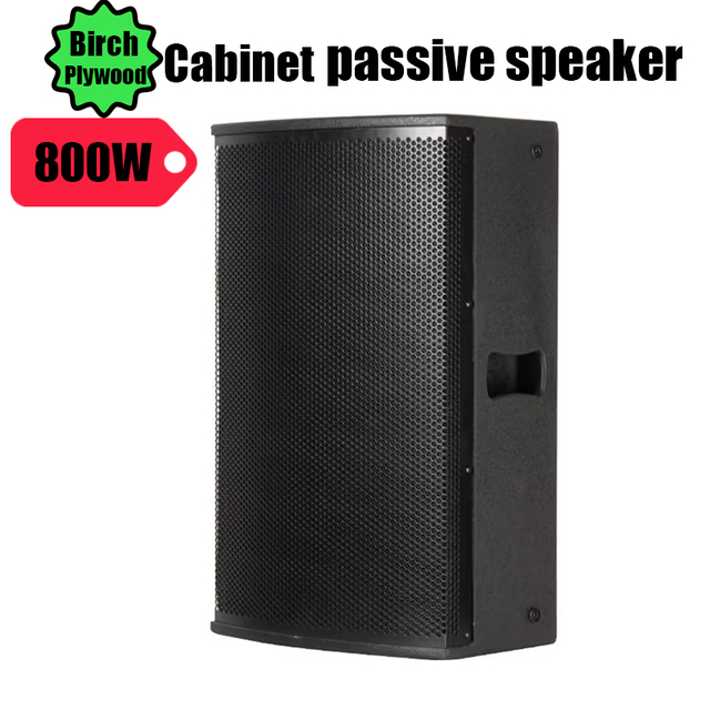 OEM Manufacturer 15 Inch 800W Passive PA Speaker Birch Plywood for Floor Monitor and Live Events