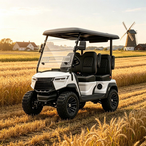 Voiturette de golf électrique, buggy de golf, suspension à double bras, véhicule utilitaire sur mesure pour utilisation hors route, homologué DOT CE EEC - Product Image 1