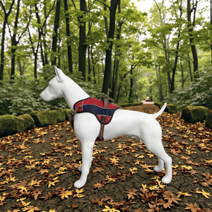 بيع بالجملة جودة عالية 420D قماش تنفس شخصية الحيوانات الأليفة تسخير لينة مبطن قابل للتعديل عاكس لا سحب سترة الكلب - Product Image 2