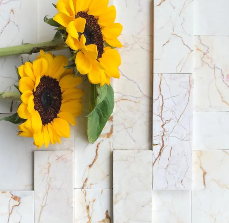 Calacatta Bianco e Oro Marmo Lucido Pavimento e Muro di Piastrelle di Mosaico di Marmo Pietra Naturale