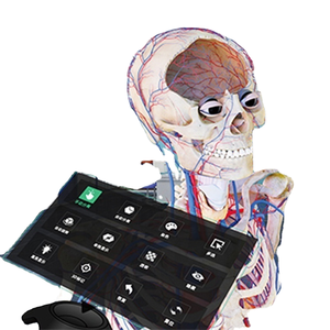 DIGIHUMAN VR Anatomy Giảng Dạy Hệ Thống Giải Phẫu Thiết Bị Phòng Thí Nghiệm Mẫu In <span class=keywords><strong>3D</strong></span> - Product Image 1