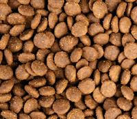 Aliments pour animaux de compagnie en gros OEM ODM, aliments secs soufflés en vrac, riches en protéines, pour la santé de la peau et du pelage, saveur poulet, prix complet