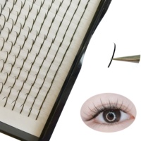 Extensions de cils pré-fabriquées en grappes effet anime, cils segmentés en gros pour salons de beauté, artistes en cils et distributeurs
