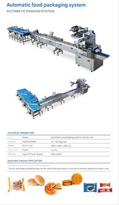 Línea de Empaquetado de Flujo Horizontal Ding Yan para <span class=keywords><strong>Galletas</strong></span>, Bizcochos, Waffles y Bolsas de Plástico/Papel/Film - Product Image 2