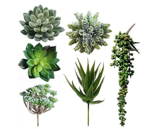 Mini suculentas artificiales <span class=keywords><strong>de</strong></span> plástico, varios tipos, ecológico, personalizado, para decoración interior del hogar - Product Image 1