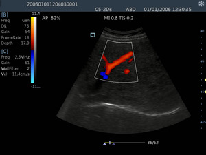 Meilleur scanner à ultrasons portable pour chèvres équipement à ultrasons vétérinaire ordinateur portable échographie vétérinaire - Product Image 6