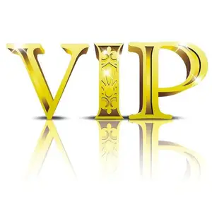 Vip customer payment link global