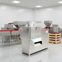 RVS gemotoriseerde dadelpasta- en pulpmachine 380V 250-500kg/u capaciteit CE/ISO gecertificeerd