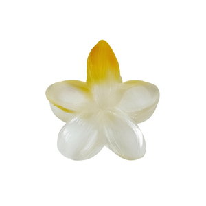 Pince à cheveux transparente Angelina à motif floral brossé 8 cm pour femme, usage quotidien et mode - Product Image 1